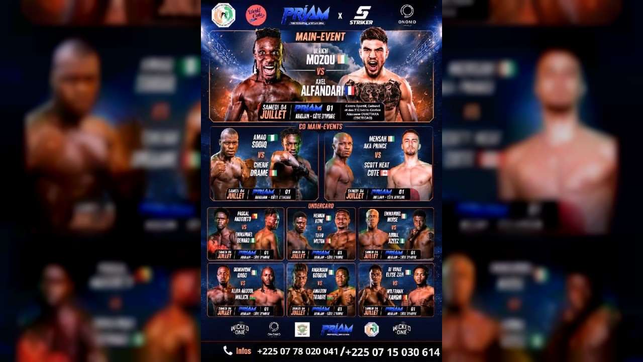 PROFESSIONNAL AFRICAN MMA