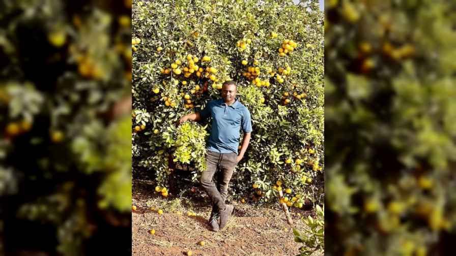 Consultation privée en Investissement Agricoles