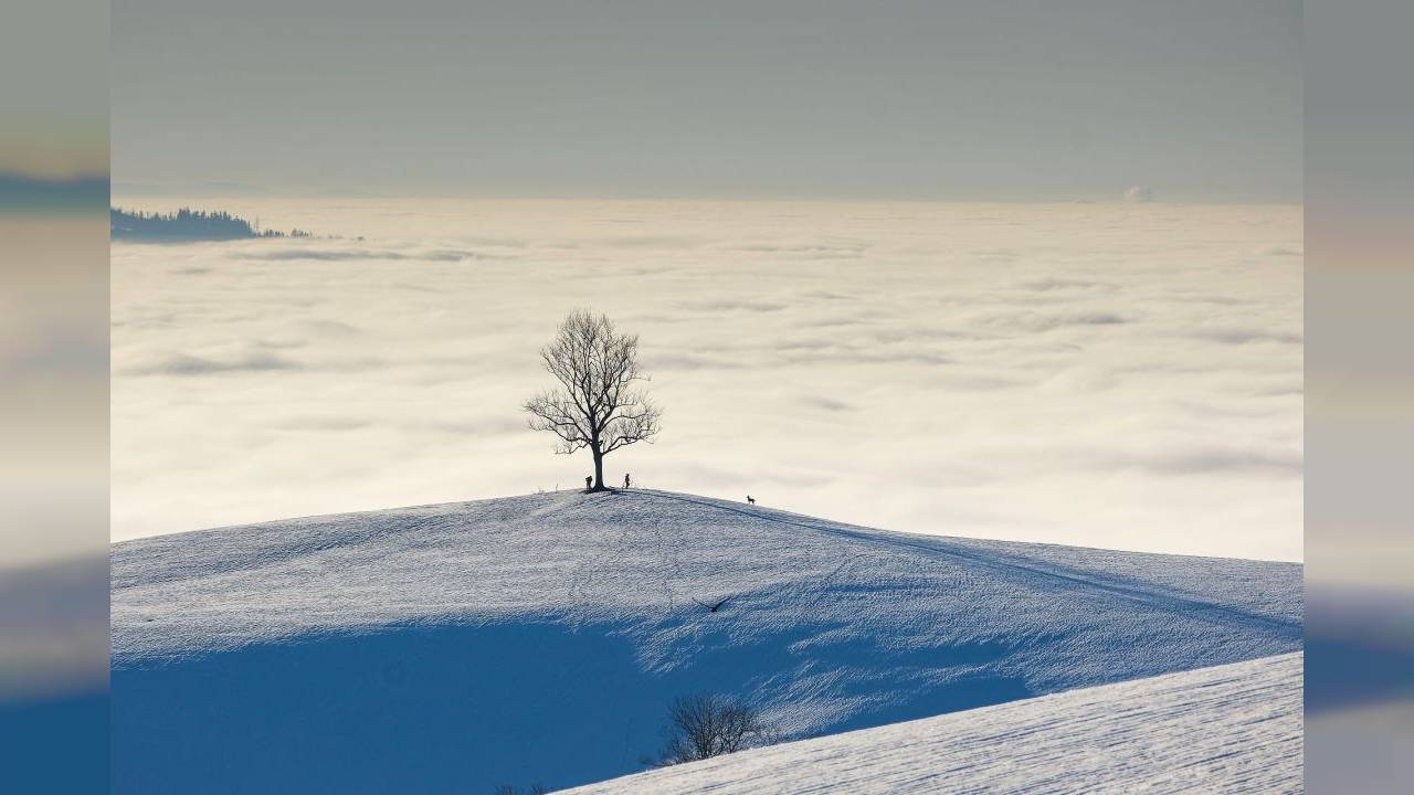 Comment faire du live