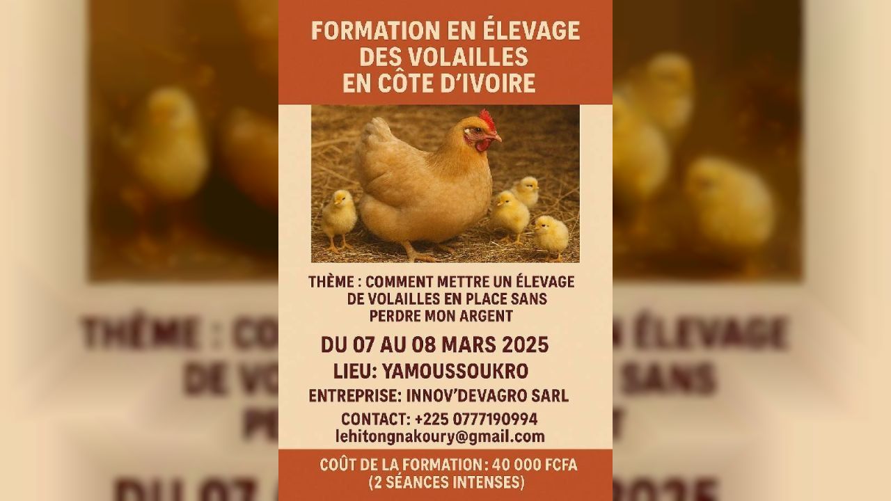 FORMATION EN ÉLEVAGE DES VOLAILLES EN CÔTE D'IVOIR